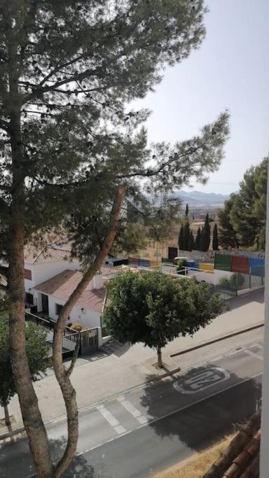 Ferienwohnung Views, Family & Private Parking In Alto Albayzin Granada Exterior foto